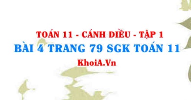 Bài 4 trang 79 SGK Toán 11 tập 1 Cánh Diều